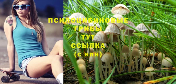 винт Абинск