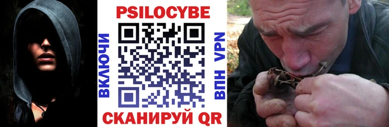 blacksprut tor  Комсомольск-на-Амуре  Псилоцибиновые грибы Psilocybine cubensis 